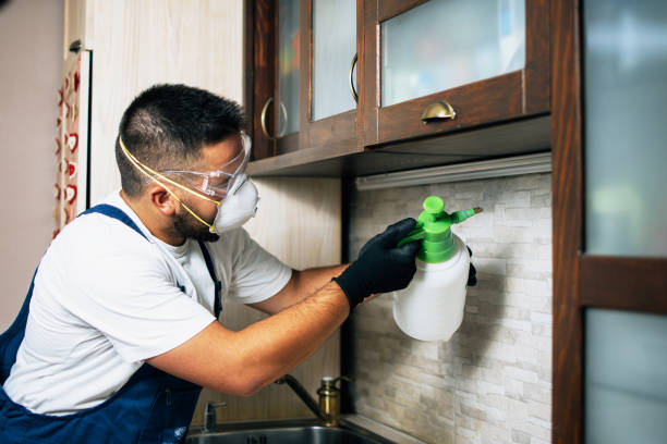 Best Exterminator Services  in Good Hope, CA