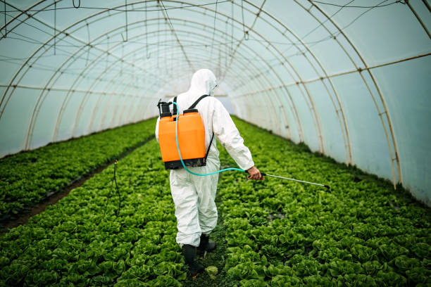 Best Pest Control Near Me  in Good Hope, CA