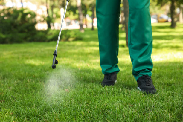 Best Flea Control Services  in Good Hope, CA