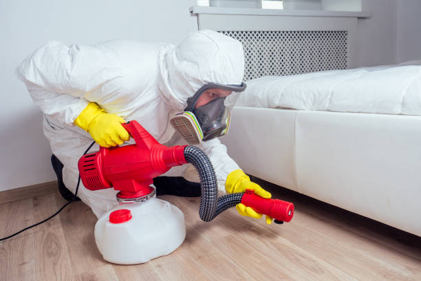 Professional Pest Control in Good Hope, CA