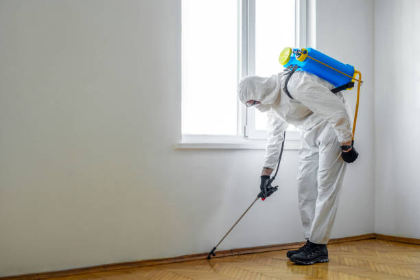 Best Emergency Pest Control  in Good Hope, CA