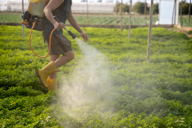 Best Best Pest Control Companies  in Good Hope, CA