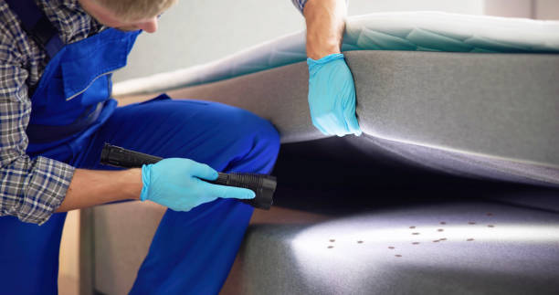 Best Best Pest Control Companies  in Good Hope, CA