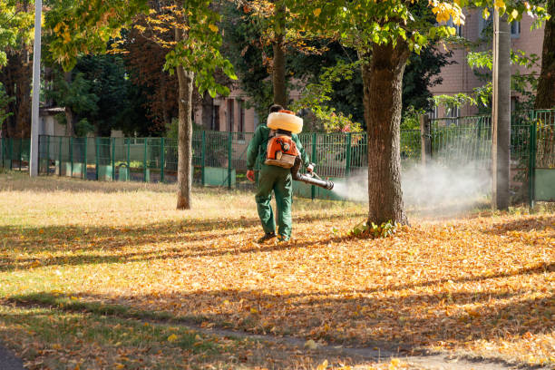Wildlife Control Services in Good Hope, CA