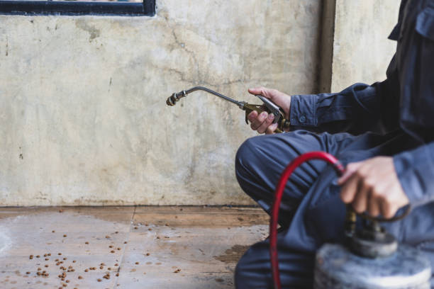 Best Pest Control Treatment  in Good Hope, CA