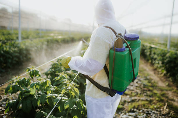 Best Pest Control Near Me  in Good Hope, CA